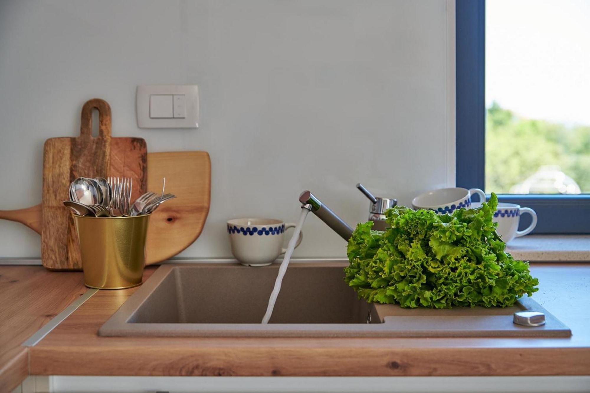 Irena Apartment No 2 Кавтат Екстериор снимка